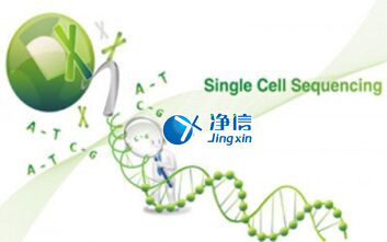 中國人自己的微流控單細胞測序儀來了！_微流控Drop-seq,微流控技術(shù)