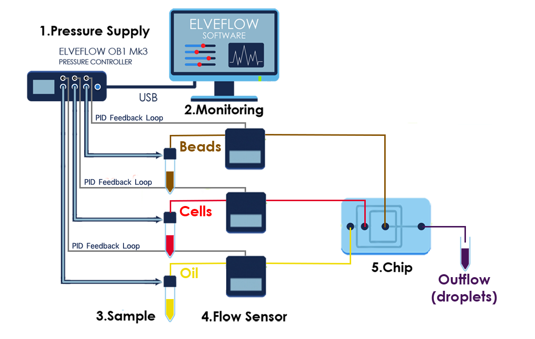 Set-up-diagram-microfluidic-chip-drop-seq-microfluidics-single-cells-analysis-ARN-AND-barcode-complex-tissue