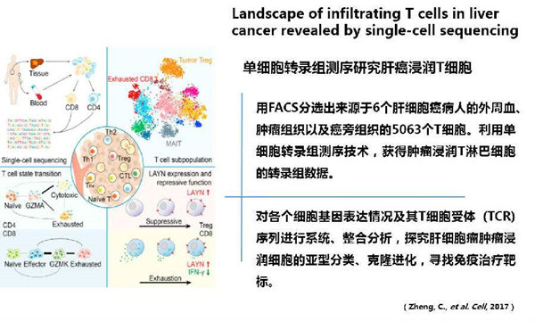 RNA-seq單細(xì)胞轉(zhuǎn)錄組測(cè)序在眼科領(lǐng)域中的研究應(yīng)用