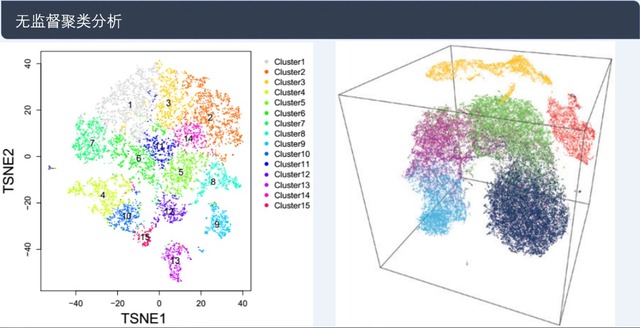 單細(xì)胞轉(zhuǎn)錄組測序(10x Genomics)詳解